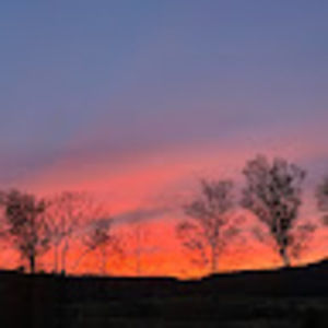 Meet your Posher, Blake